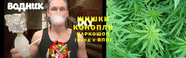 мяу мяу кристалл Иннополис