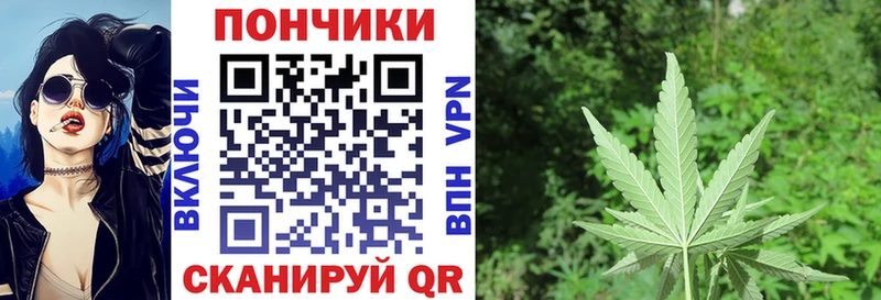 Конопля MAZAR  Купить где  Кирсанов 